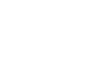 Stevenage Borough Council Logo