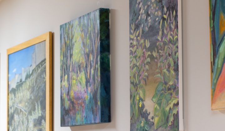 Three framed paintings hang on a wall in a well-lit room. The first depicts a landscape with a building, the second shows a forest scene, and the third presents plants with prominent green foliage. The overall atmosphere is serene and artistic.