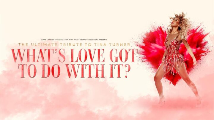 What’s Love Got To Do With It?