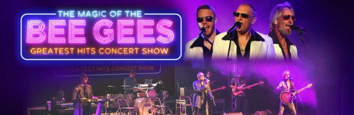 The Magic Of The Bee Gees