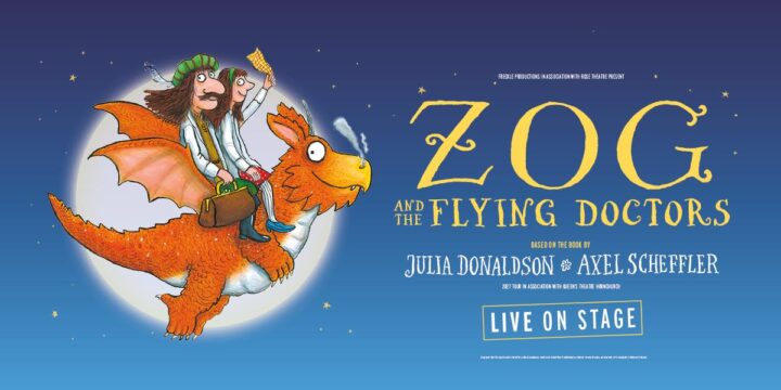 Zog and the Flying Doctors